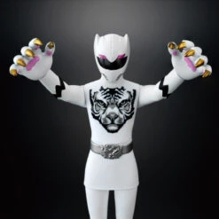 Bandai Sentai Hero Series SP (5 Of SET) -Model Saga Shop 1000102416 10 20525.1456298586