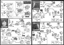 Bandai Figure-Rise Dragon Ball Super Sayian Broly Full Power Model Kit -Model Saga Shop 20190128122911 001003 47526.1548646447