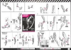 Bandai RG Humanoid Decisive Battle Weapon Artificial Human Evangelion Prototype Unit 0 Non-Scale Kit -Model Saga Shop 20200626150145 001008 55550.1593152227