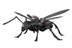 Bandai S.H. Figuarts Ant Figure (Ant-Man And The Wasp) -Model Saga Shop 4573102555625 acea0ed1788e3145c529e37547911e27 90631.1557207813