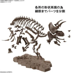 Bandai Imaginary Skeleton 1/32 Triceratops Plastic Model -Model Saga Shop 4573102618016 8461d05a54f08e767389371333894deb 69125.1658373638