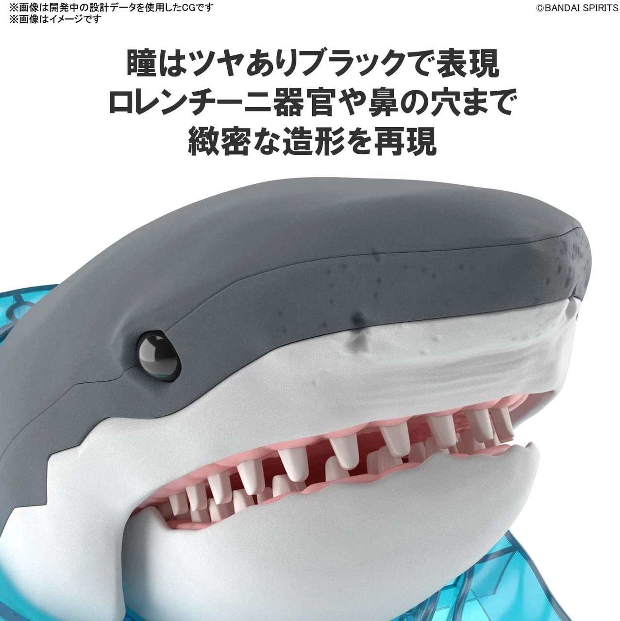Bandai Exploring Lab Nature Great White Shark Plastic Model 8 Bandai Exploring Lab Nature Great White Shark Plastic Model - Image 6