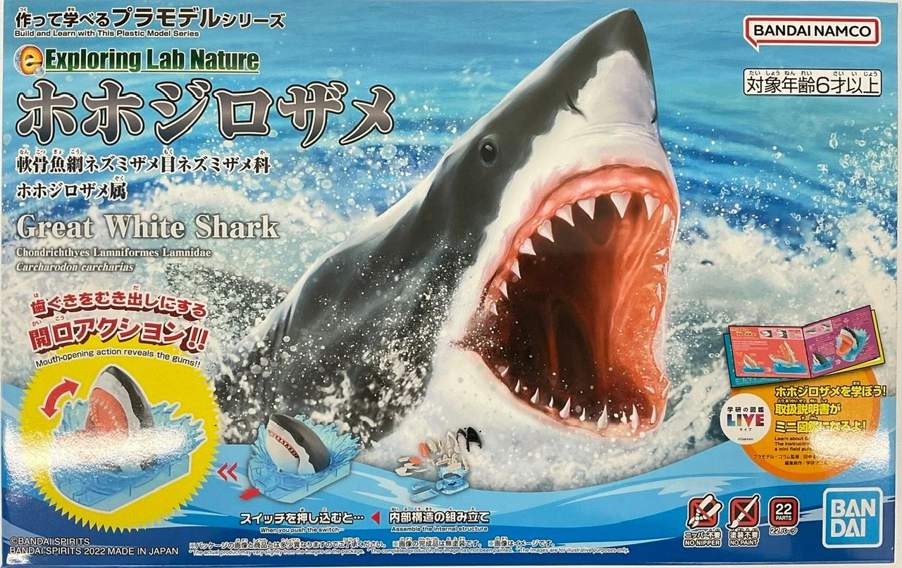 Bandai Exploring Lab Nature Great White Shark Plastic Model 3 Bandai Exploring Lab Nature Great White Shark Plastic Model