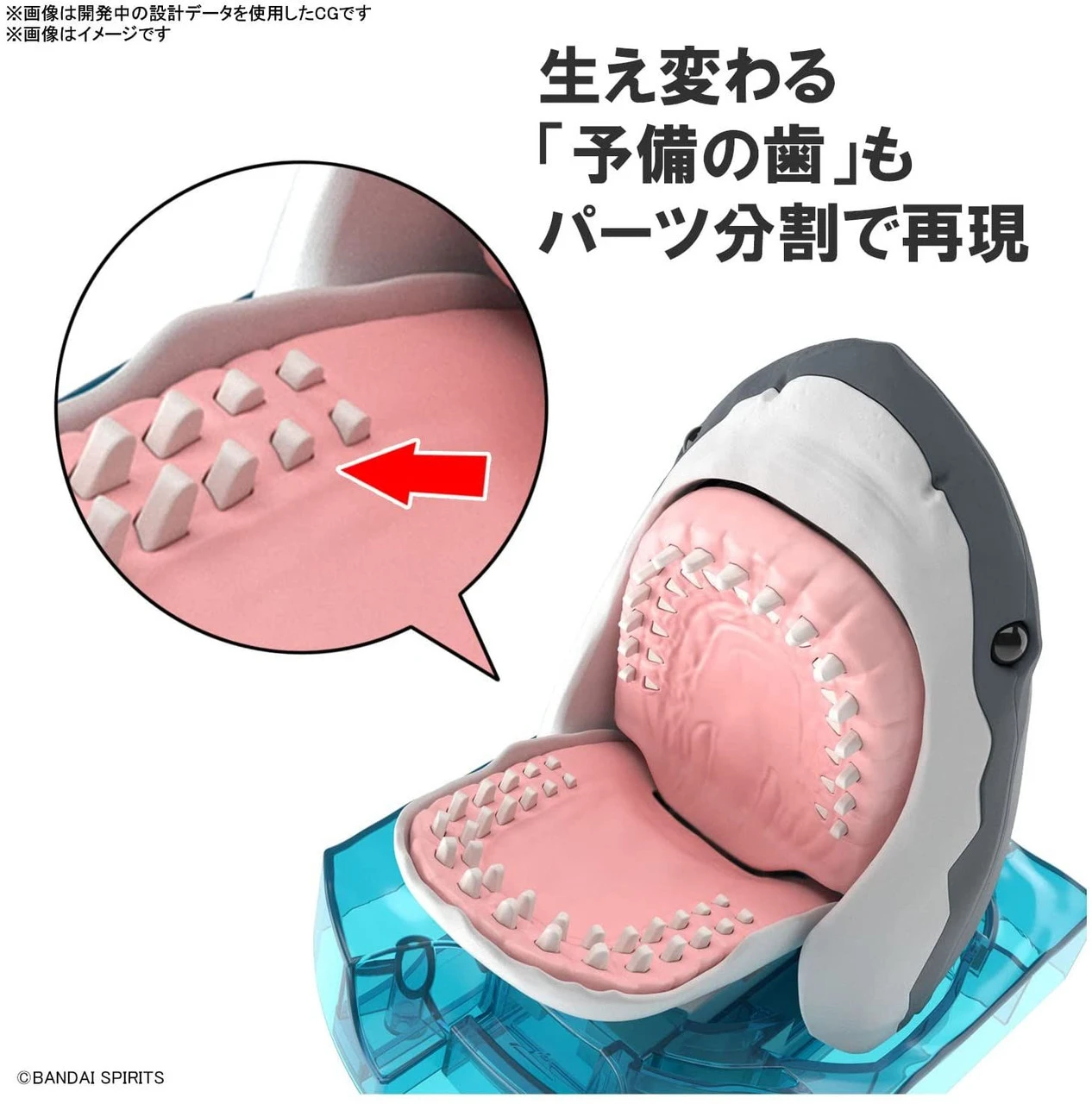 Bandai Exploring Lab Nature Great White Shark Plastic Model 7 Bandai Exploring Lab Nature Great White Shark Plastic Model - Image 5