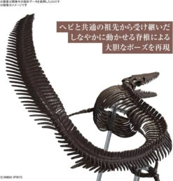 Bandai Imaginary Skeleton 1/32 Mosasaurus Plastic Model -Model Saga Shop 4573102654281 9629a6332e8a012fe773445aa2e2f2bc 57036.1691498398