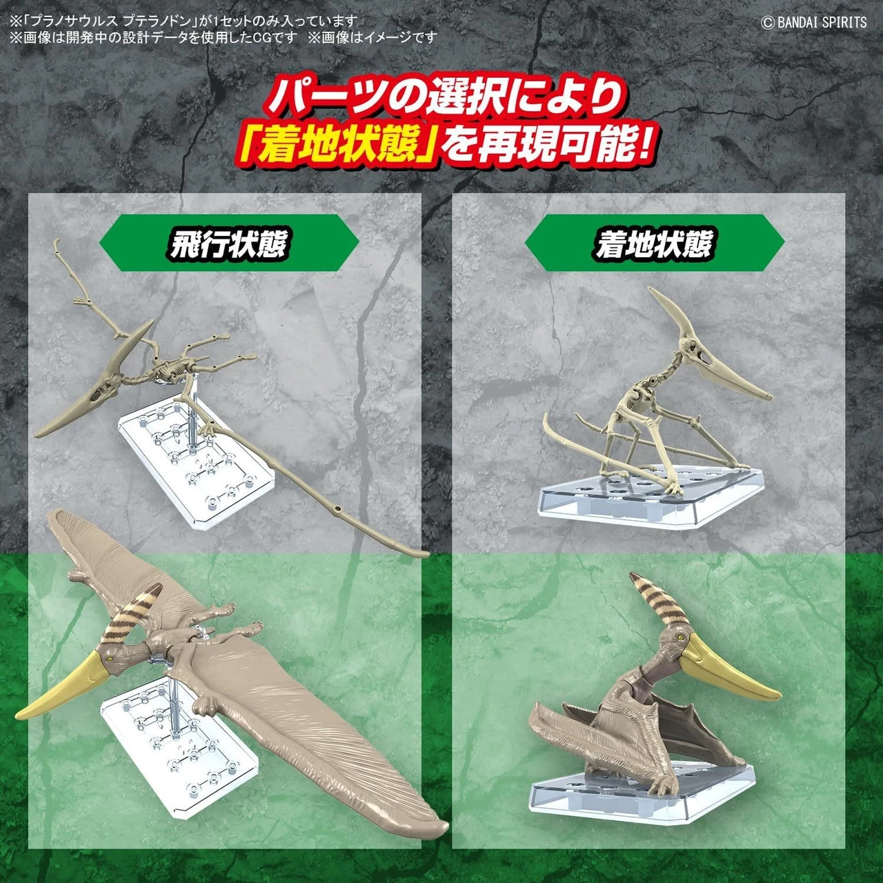 Bandai Plannosaurus Pteranodon Plastic Model 10 Bandai Plannosaurus Pteranodon Plastic Model - Image 8