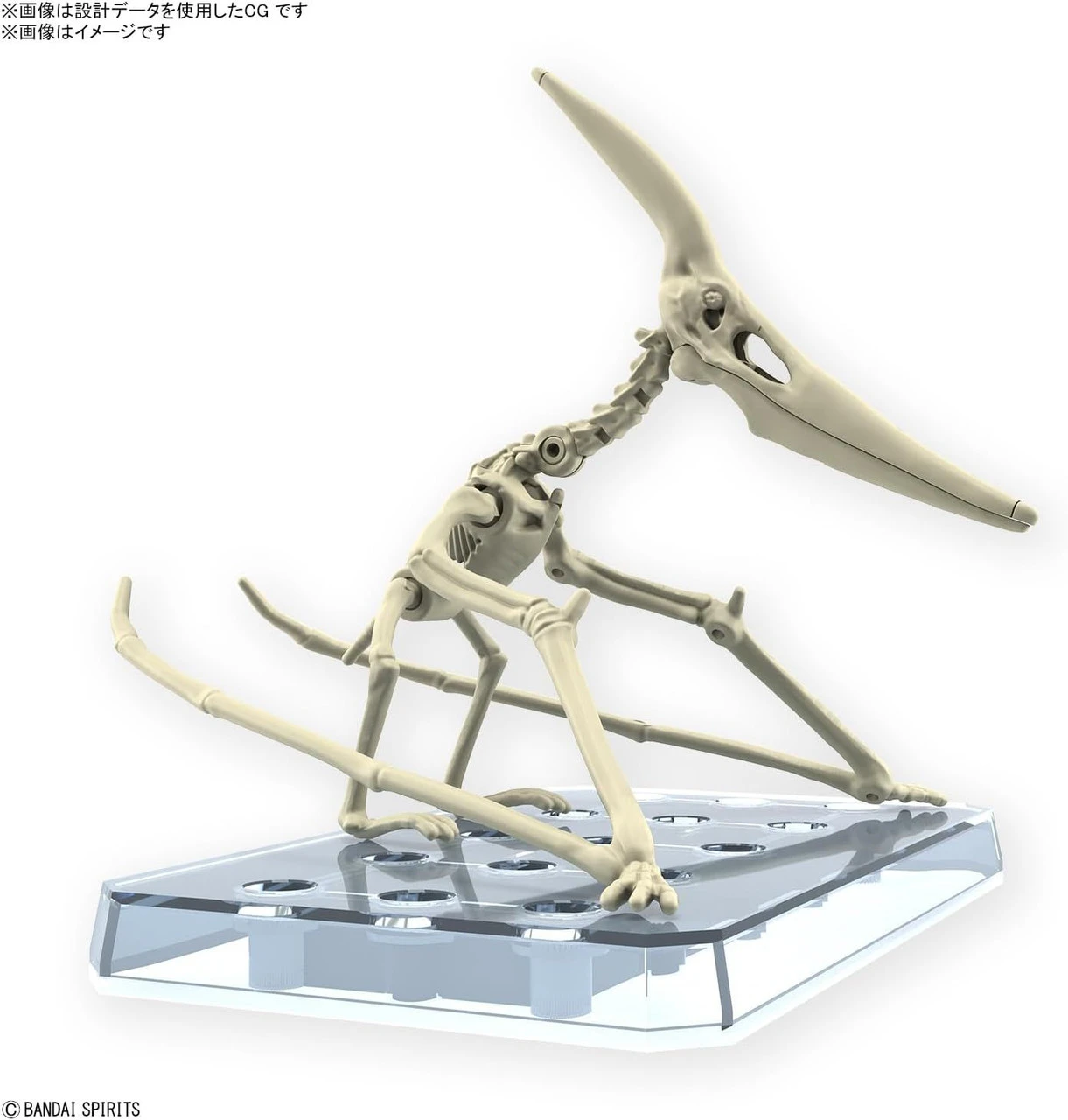 Bandai Plannosaurus Pteranodon Plastic Model 6 Bandai Plannosaurus Pteranodon Plastic Model - Image 4