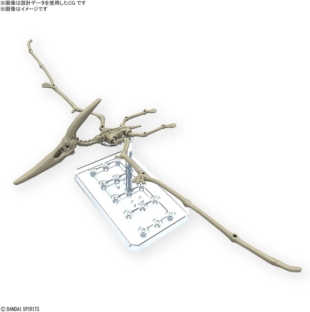 Bandai Plannosaurus Pteranodon Plastic Model 4 Bandai Plannosaurus Pteranodon Plastic Model - Image 2