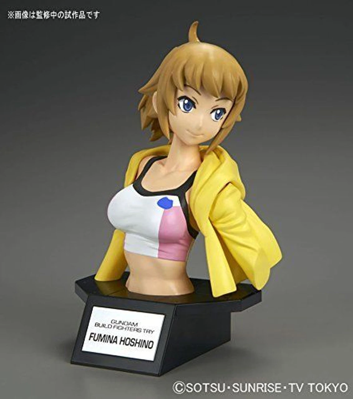 Bandai Figure-Rise Bust 011 Build Fighter's Try FUMINA HOSHINO 4549660129707 6 Bandai Figure-Rise Bust 011 Build Fighter's Try FUMINA HOSHINO 4549660129707 - Image 4