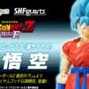 BANDAI Premium S.H.Figuarts Super Saiyan God SS Son Goku -Model Saga Shop bnr SHF SSGodSS SonGokou B01 fix 57265.1429516491