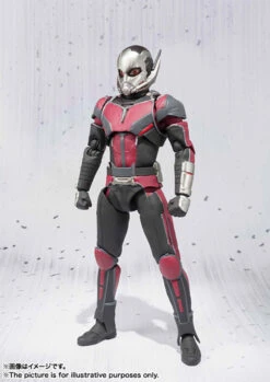 Bandai S.H.Figuarts Ant-Man Action Figure 11 Bandai S.H.Figuarts Ant-Man Action Figure -Model Saga Shop item 0000011313 HtfHizI9 03 31098.1456739916