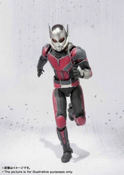 Bandai S.H.Figuarts Ant-Man Action Figure 13 Bandai S.H.Figuarts Ant-Man Action Figure -Model Saga Shop item 0000011313 HtfHizI9 04 99123.1456739916