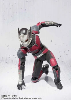 Bandai S.H.Figuarts Ant-Man Action Figure 10 Bandai S.H.Figuarts Ant-Man Action Figure -Model Saga Shop item 0000011313 HtfHizI9 05 90492.1456739916